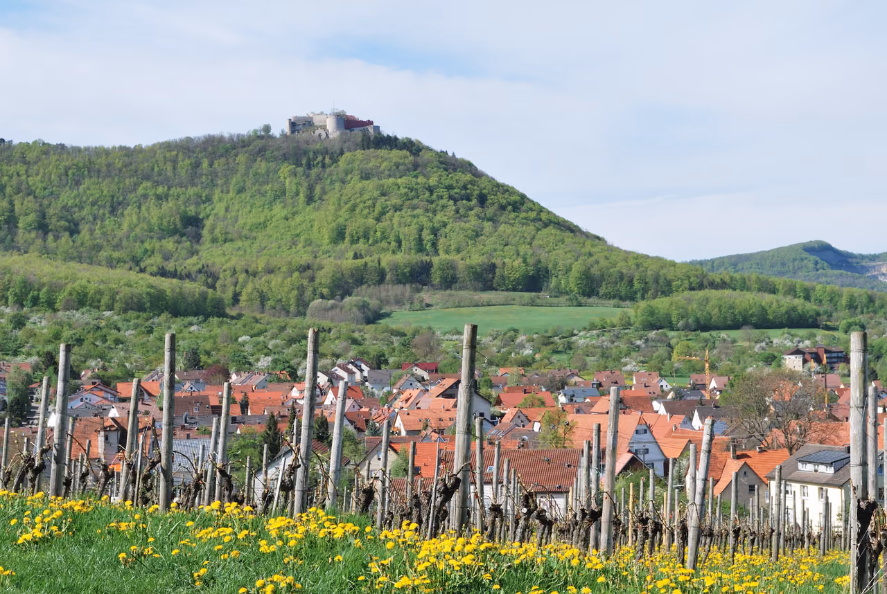 Stadtansicht von Beuren