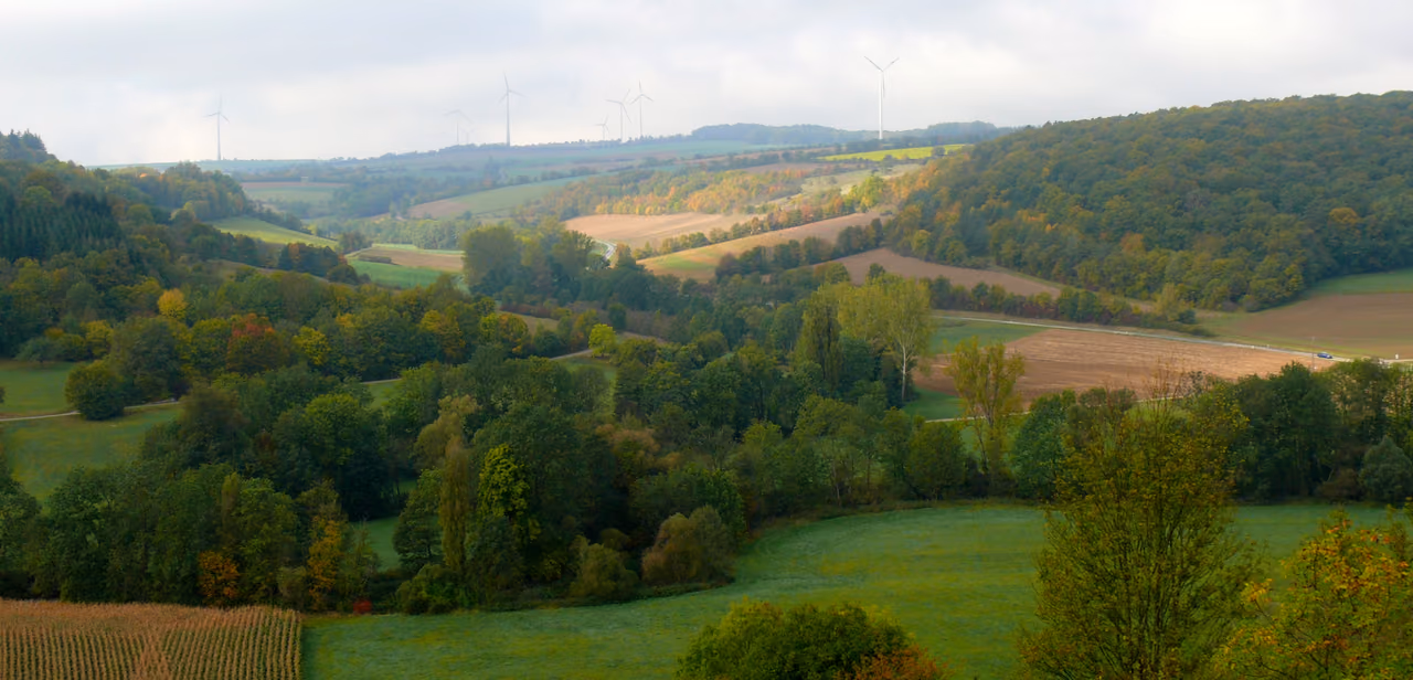Stadtansicht von Creglingen
