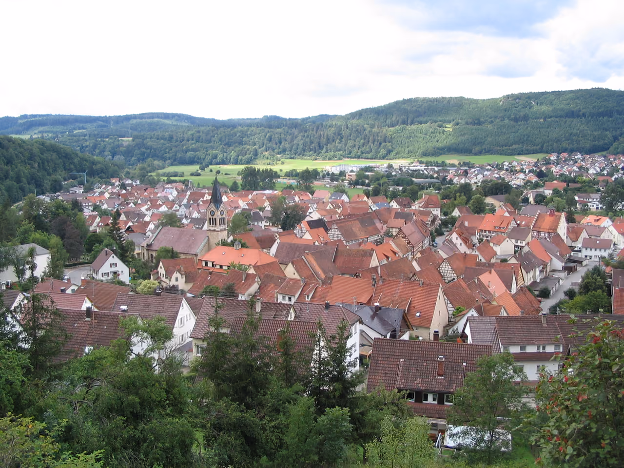 Stadtansicht von Fridingen an der Donau