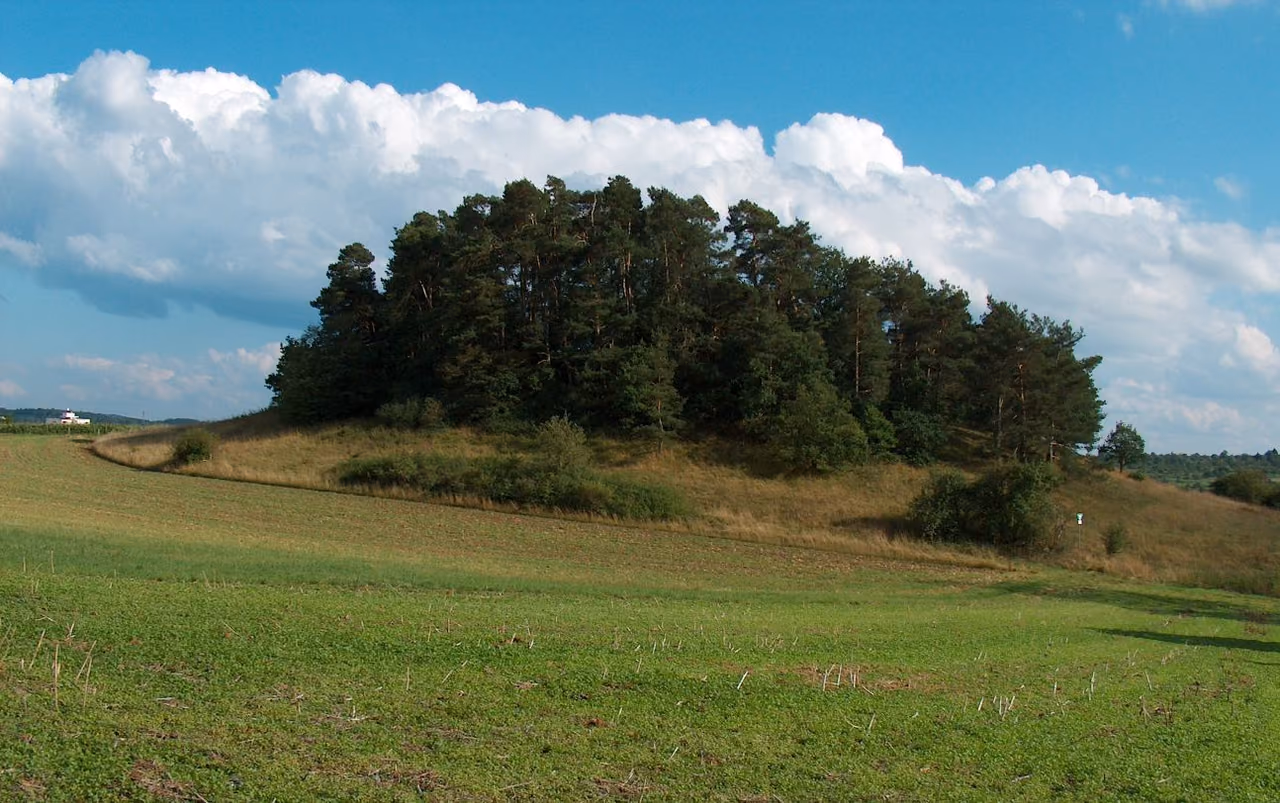 Stadtansicht von Magstadt