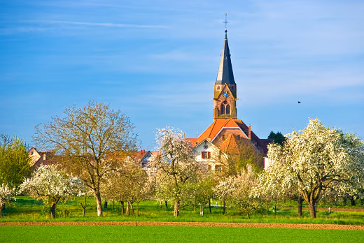 Stadtansicht von Schwanau