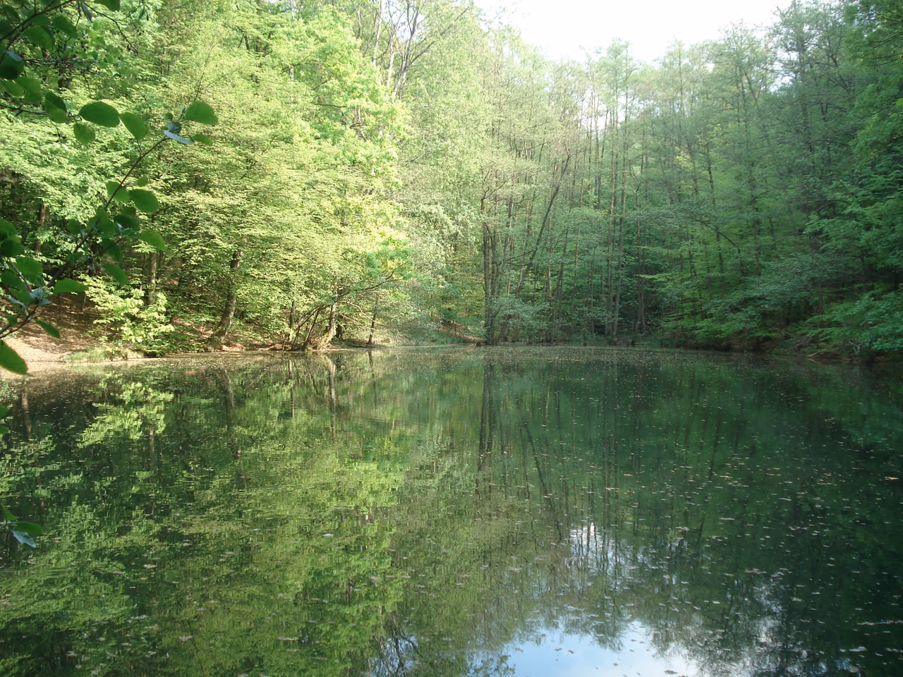 Stadtansicht von Bessenbach