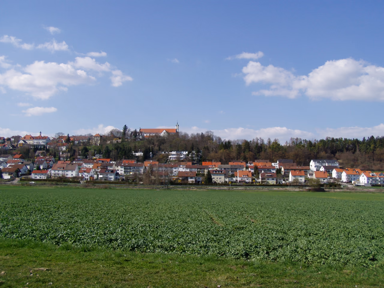Stadtansicht von Elchingen