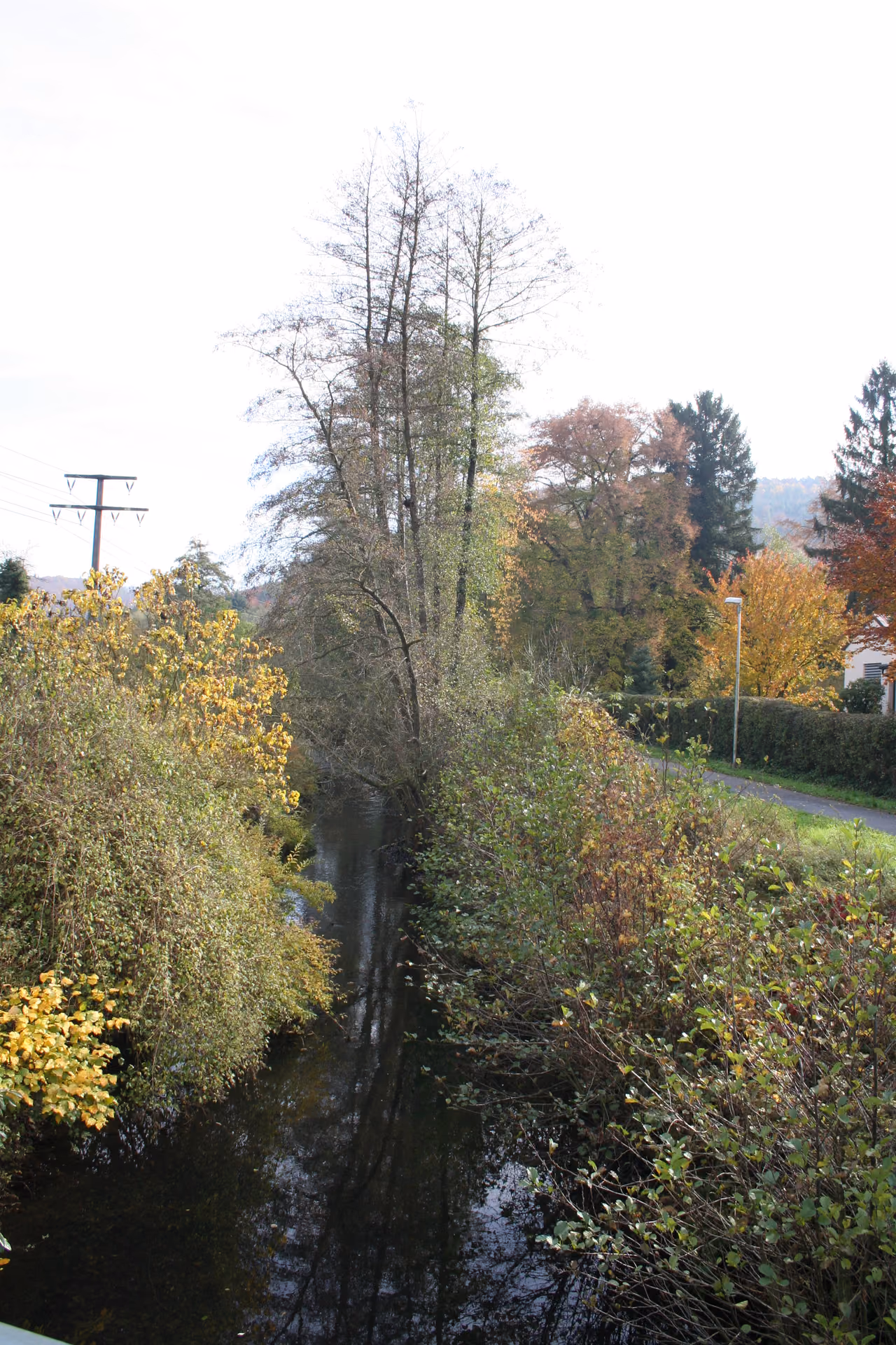 Stadtansicht von Heimbuchenthal