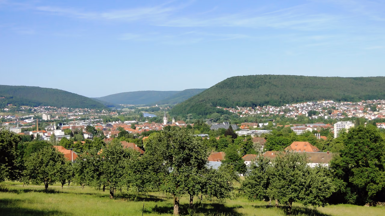 Stadtansicht von Lohr a.Main