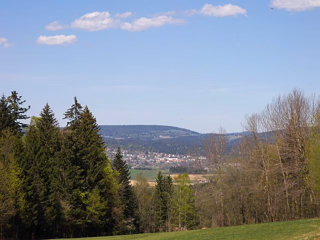Stadtansicht von Neureichenau