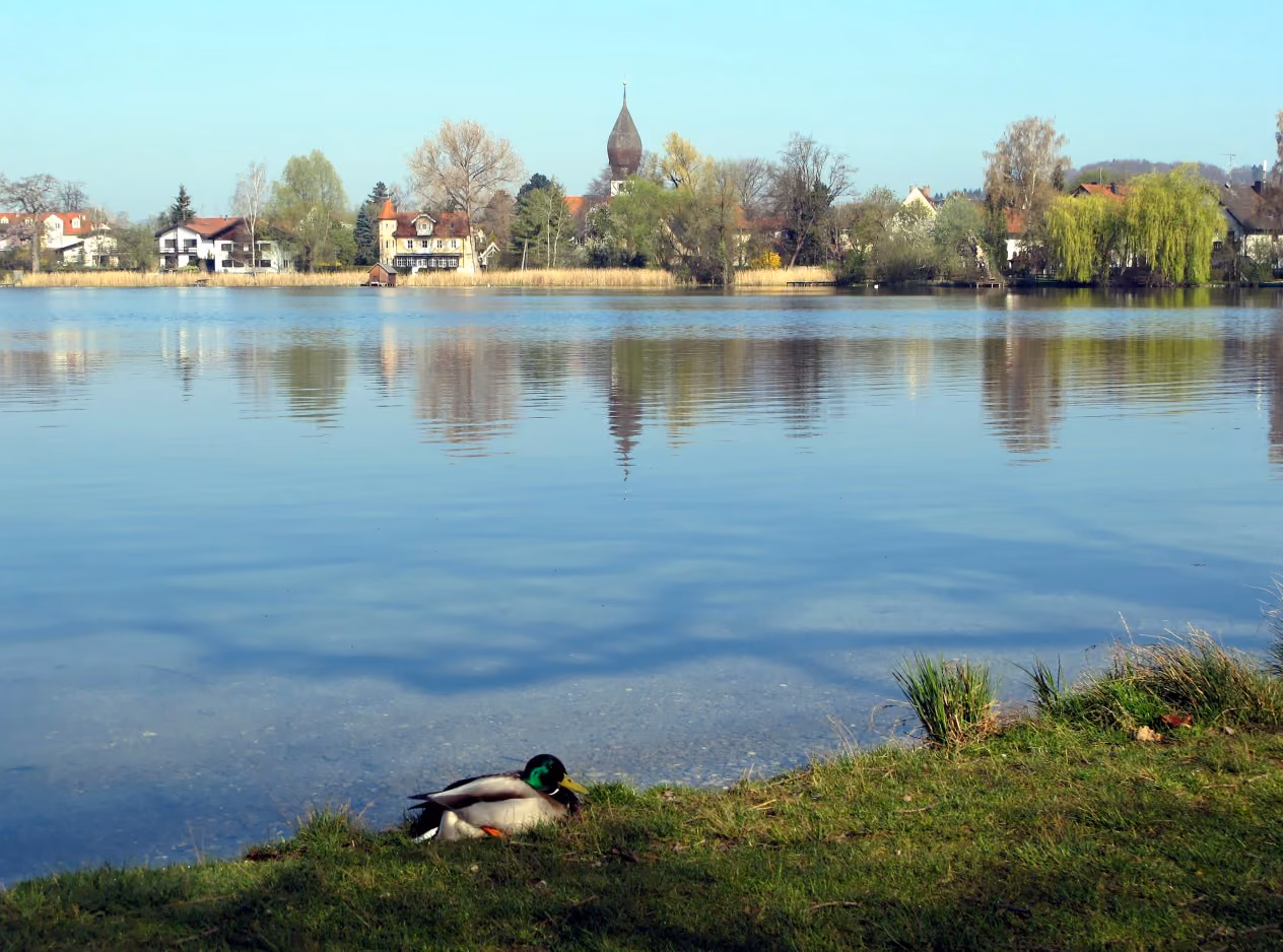 Stadtansicht von Weßling