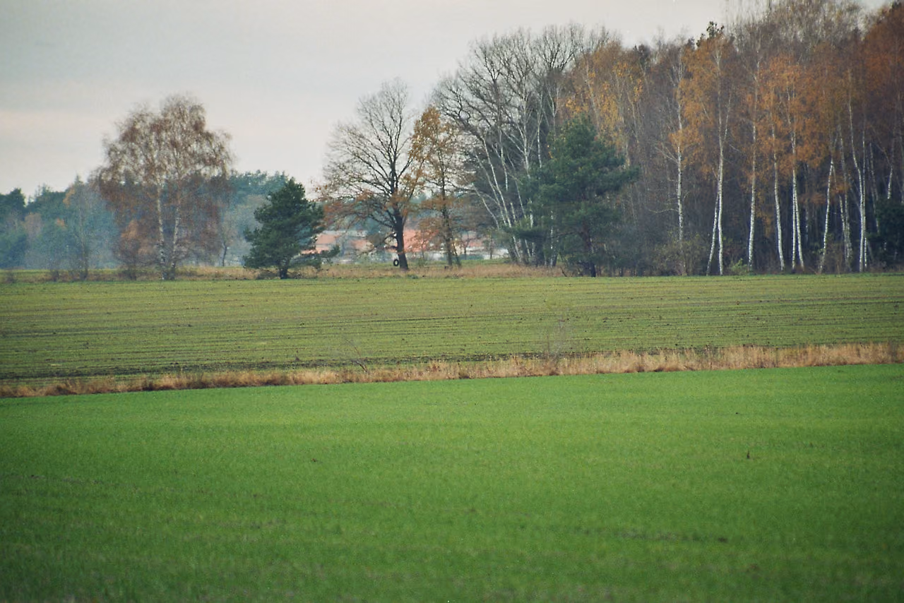 Stadtansicht von Schilda