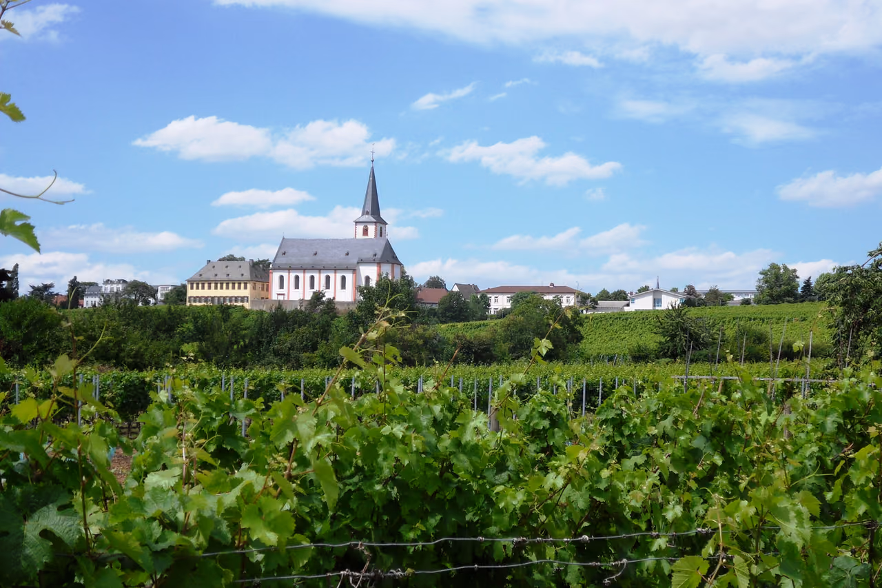 Stadtansicht von Hochheim