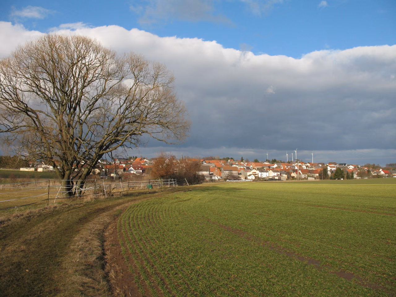 Stadtansicht von Mücke