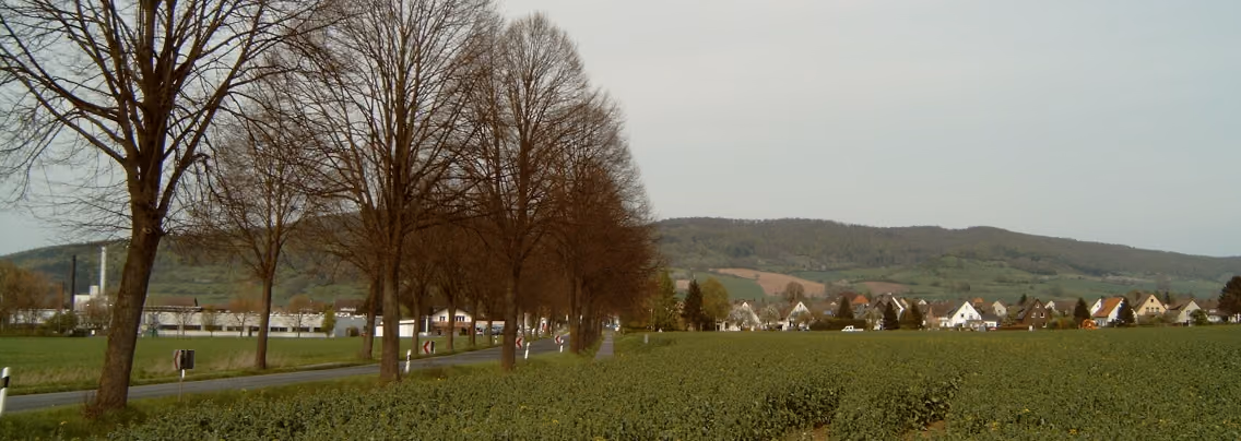 Stadtansicht von Bevern