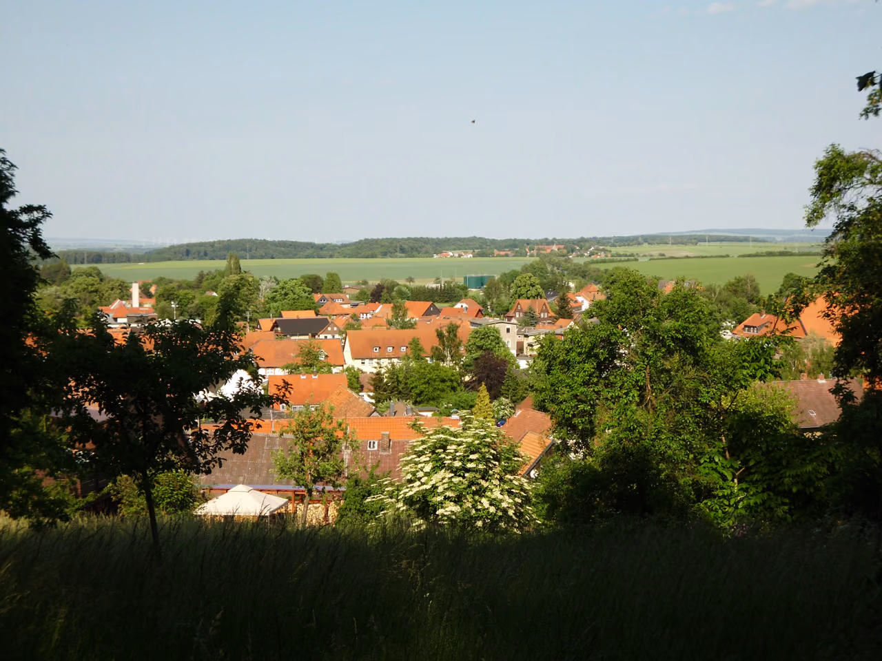 Stadtansicht von Liebenburg