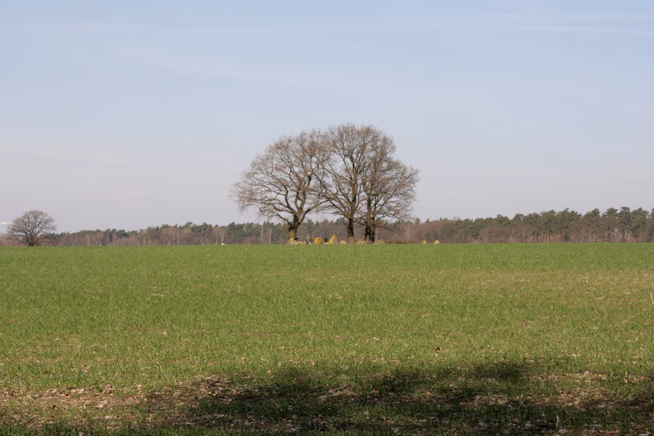 Stadtansicht von Wrestedt