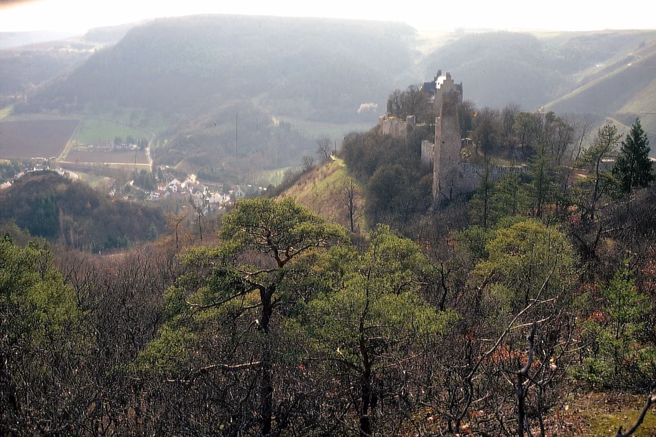 Stadtansicht von Altenbamberg