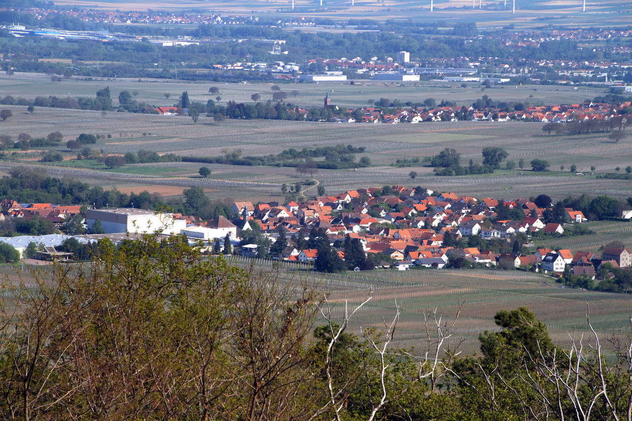 Stadtansicht von Böchingen