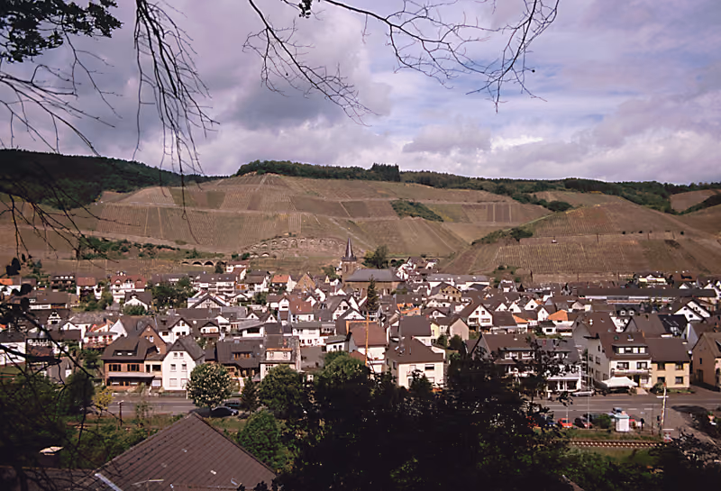 Stadtansicht von Dernau