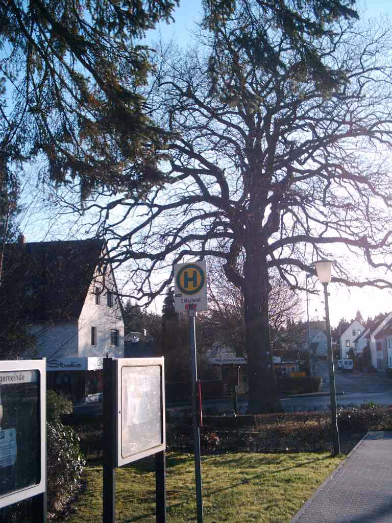 Stadtansicht von Ehlscheid