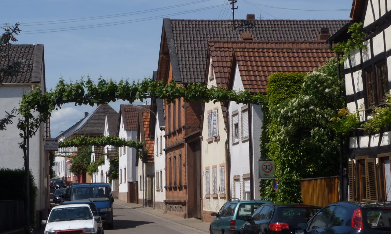 Stadtansicht von Ellerstadt
