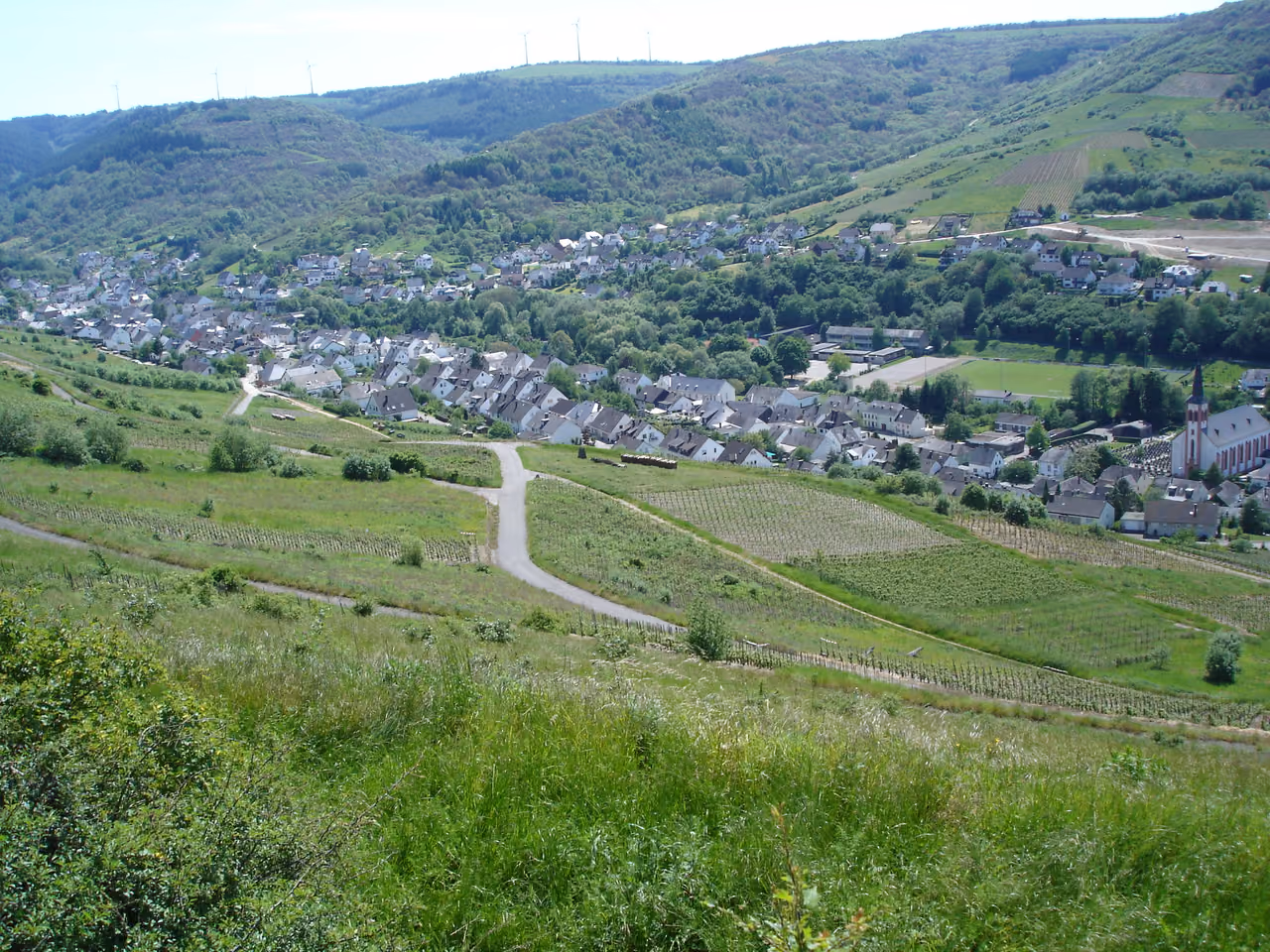 Stadtansicht von Fell