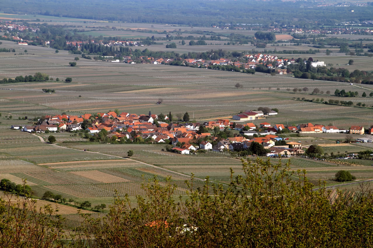 Stadtansicht von Flemlingen