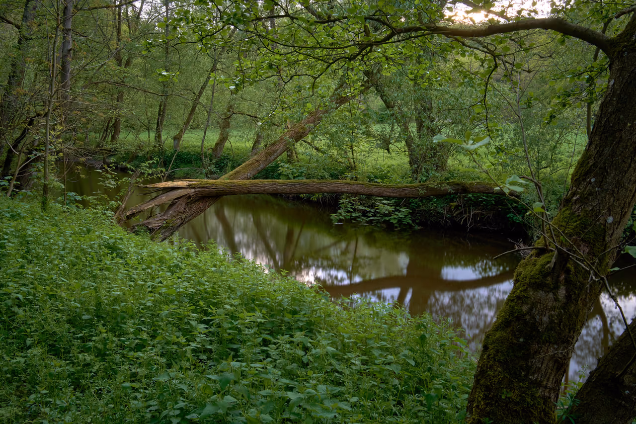 Stadtansicht von Flußbach