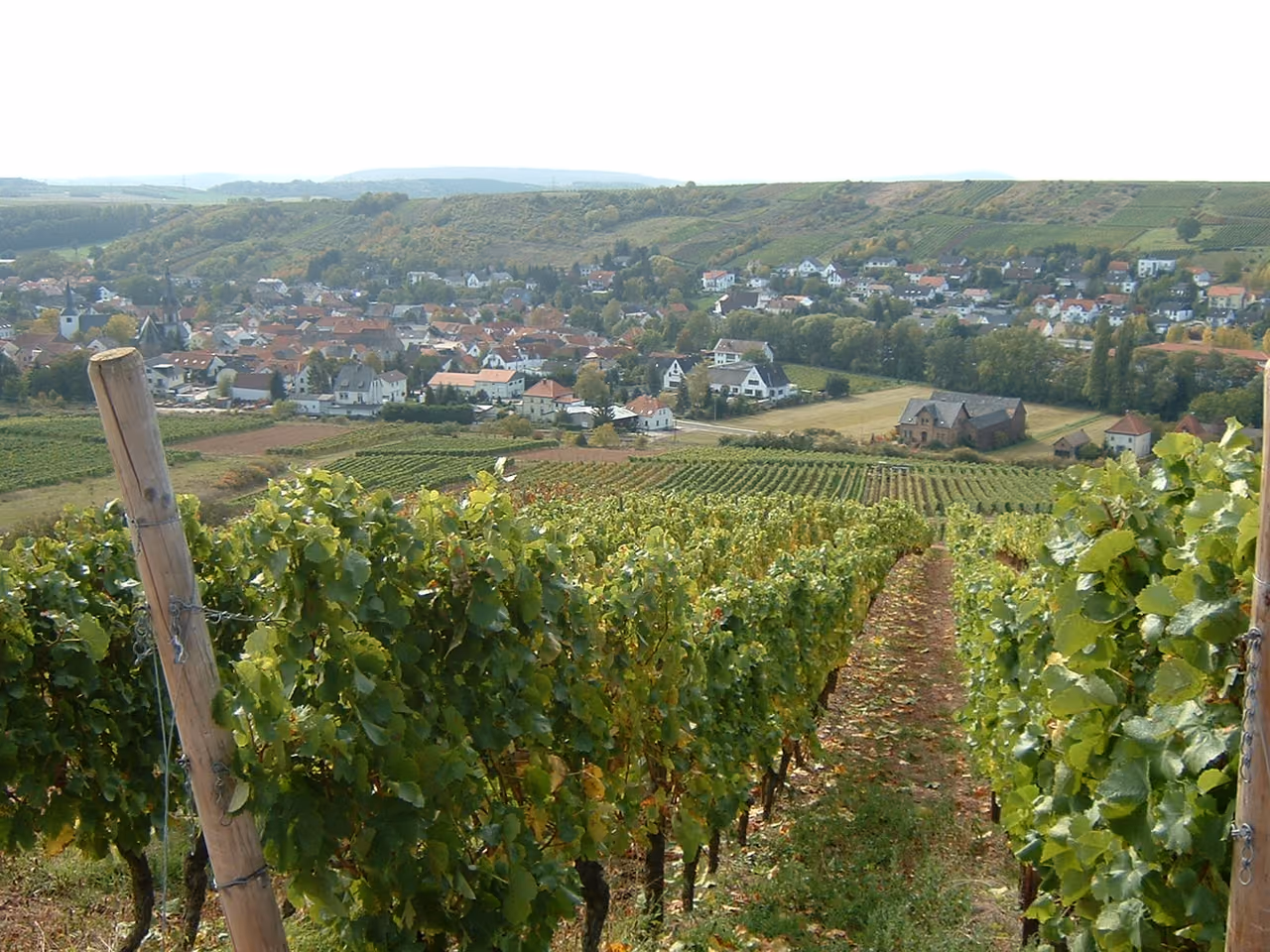 Stadtansicht von Guldental