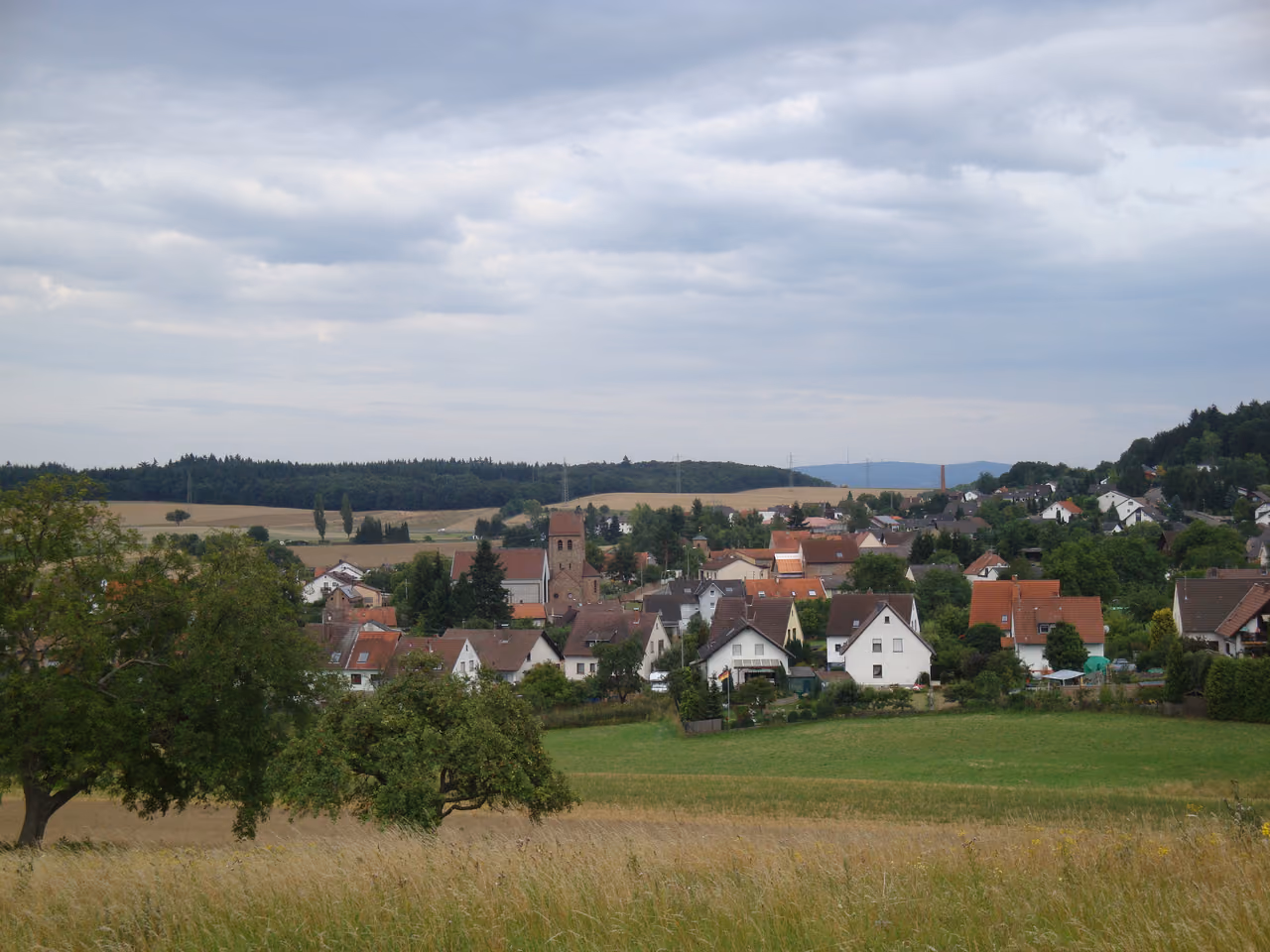 Stadtansicht von Hallgarten