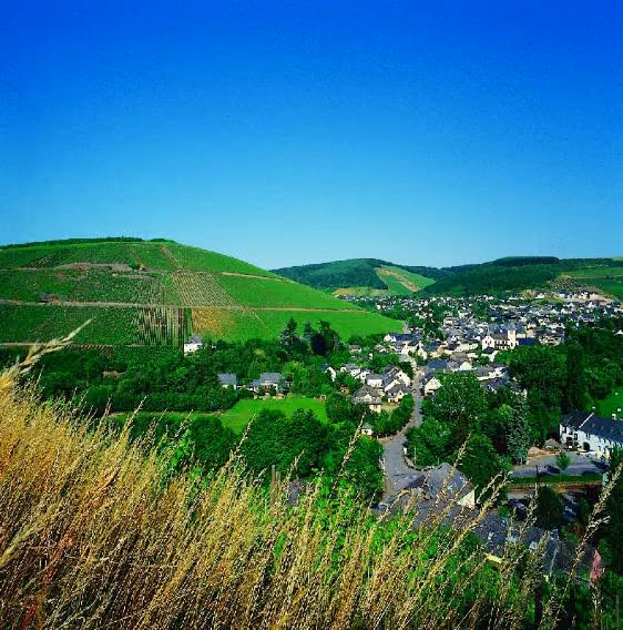Stadtansicht von Kasel