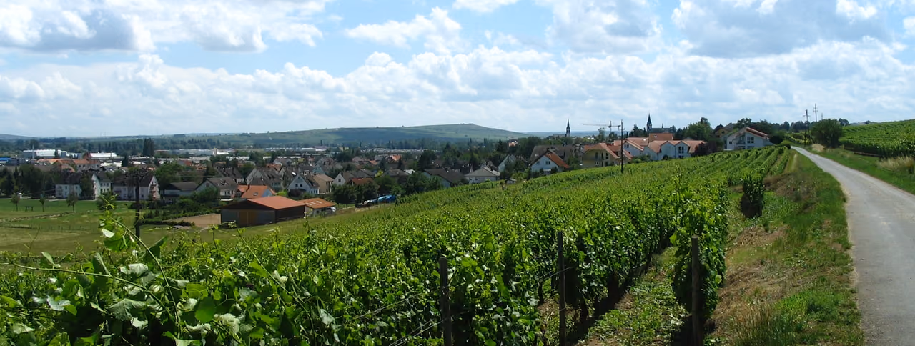 Stadtansicht von Langenlonsheim