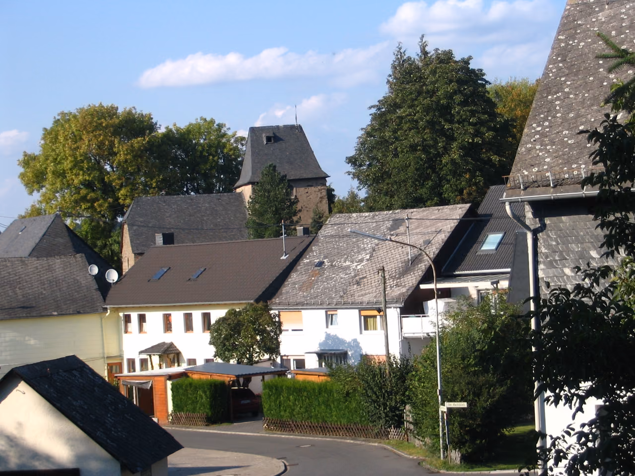Stadtansicht von Leiningen