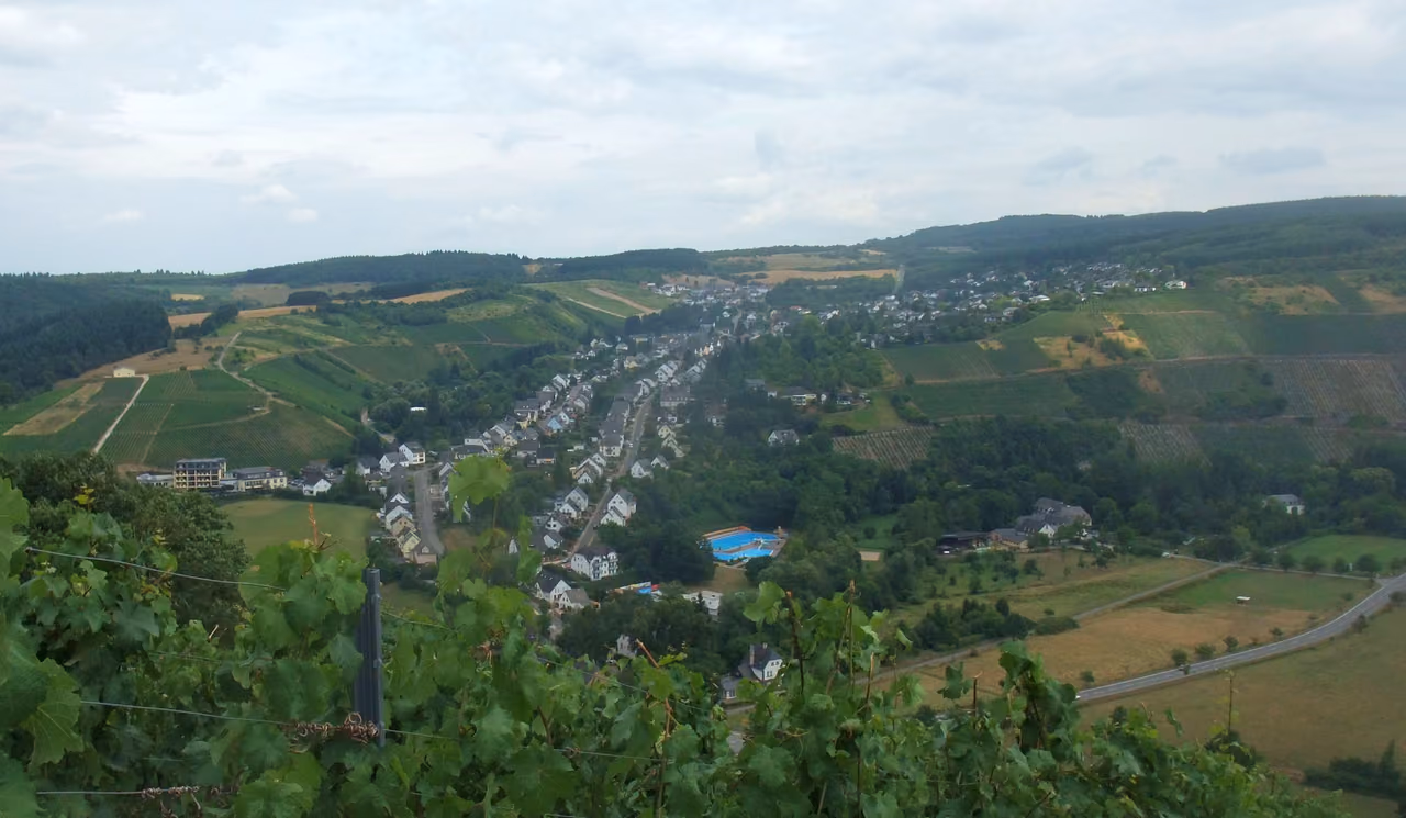 Stadtansicht von Mertesdorf