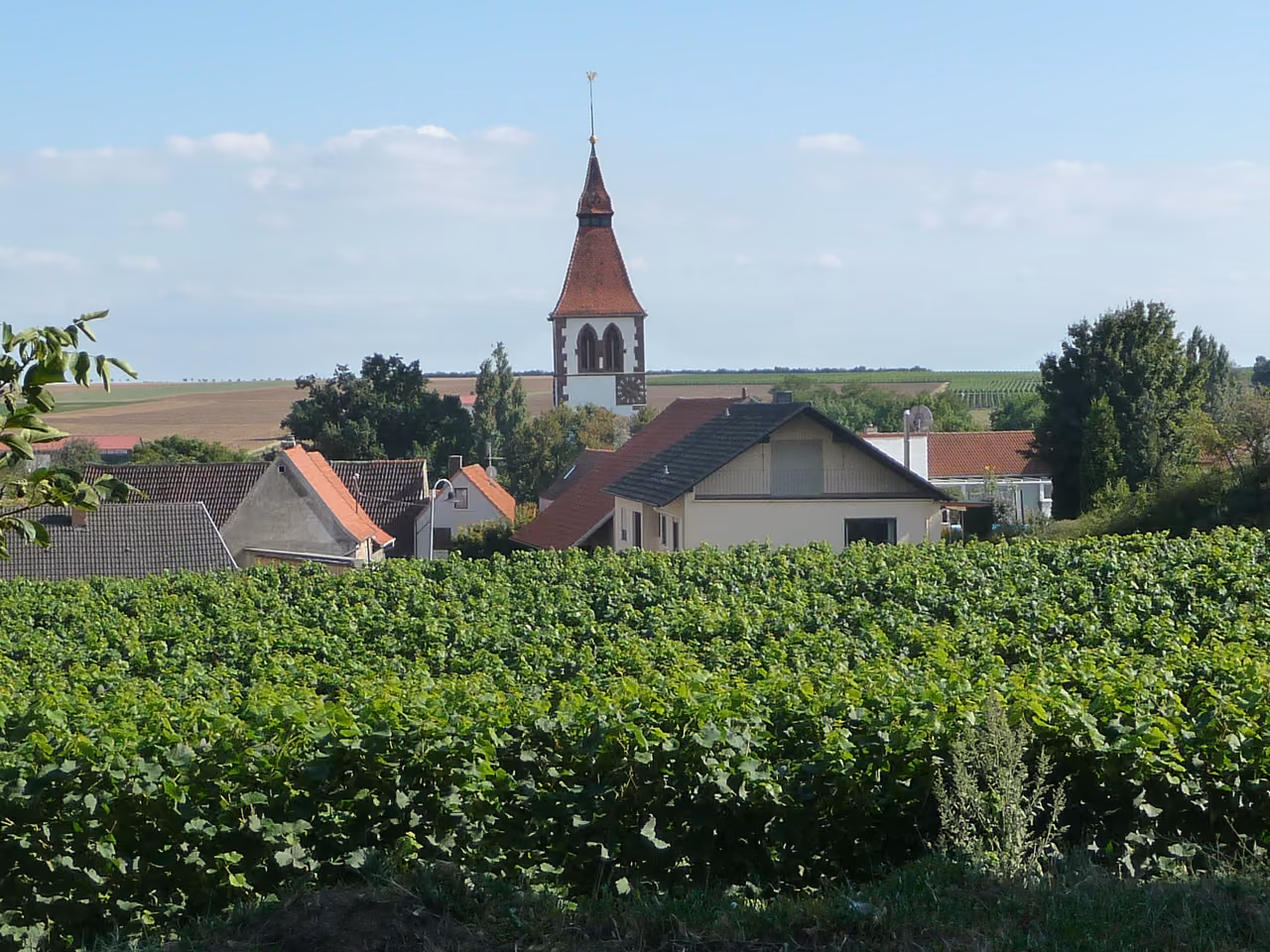 Stadtansicht von Obrigheim (Pfalz)