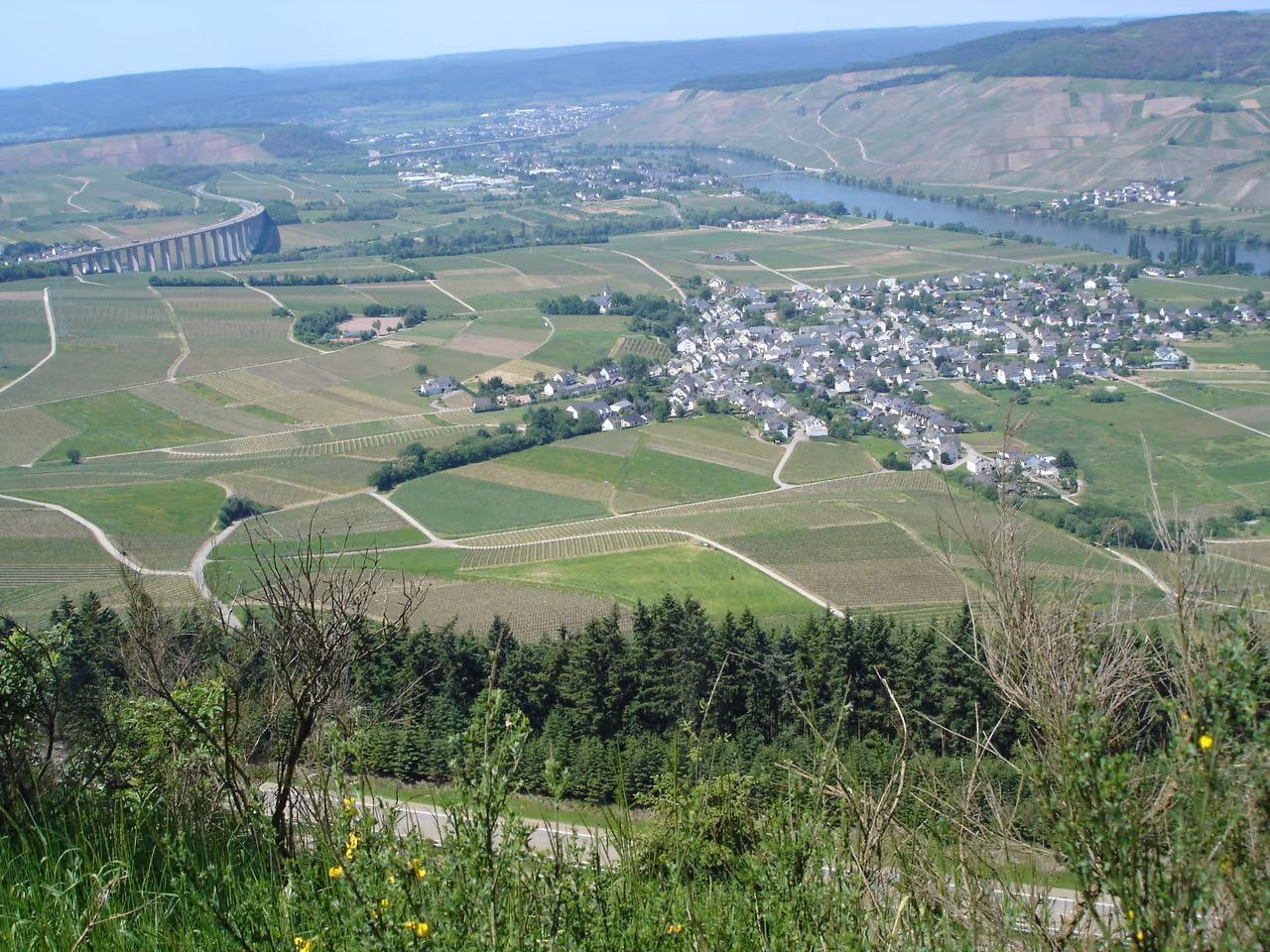 Stadtansicht von Riol