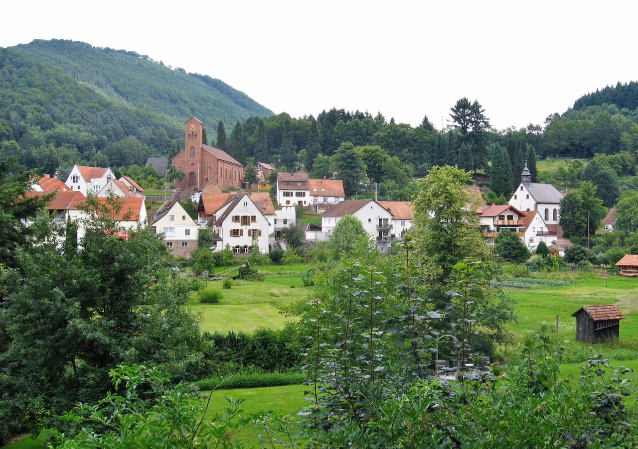 Stadtansicht von Schönau (Pfalz)