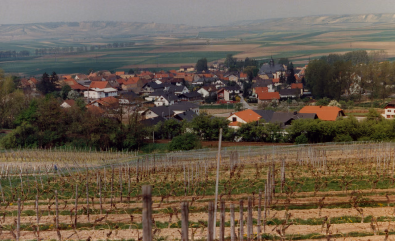Stadtansicht von Sulzheim