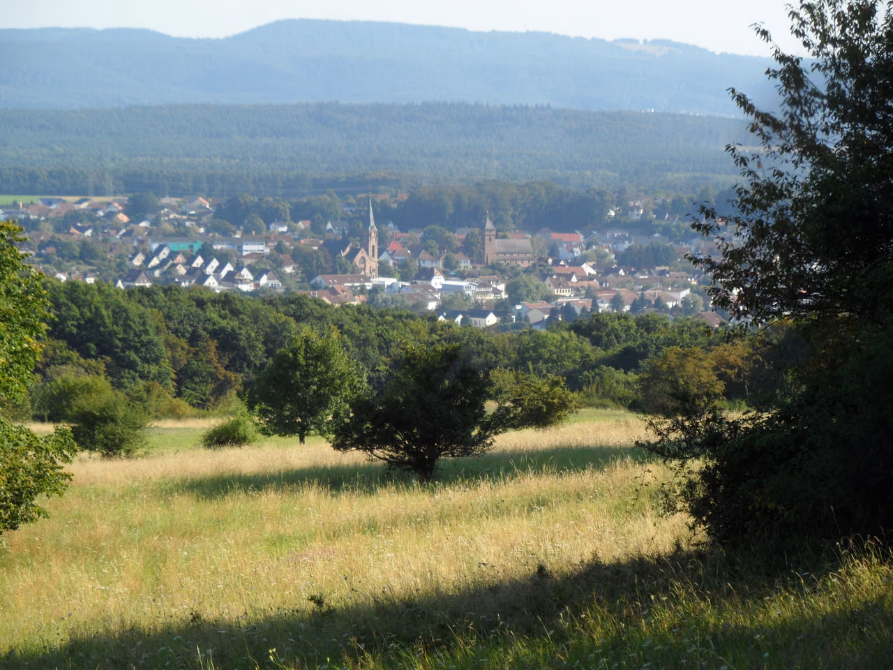 Stadtansicht von Weilerbach