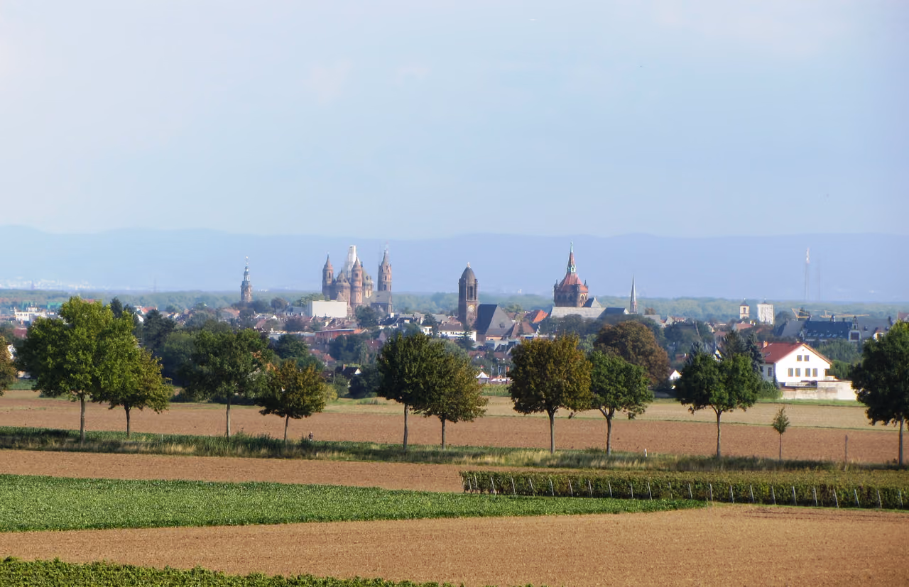 Stadtansicht von Worms