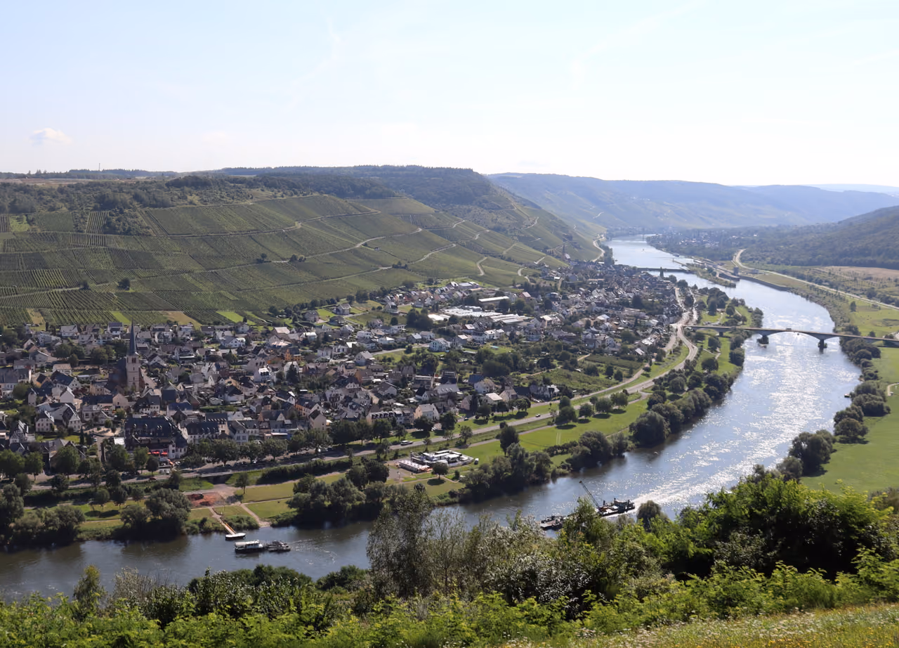 Stadtansicht von Zeltingen-Rachtig