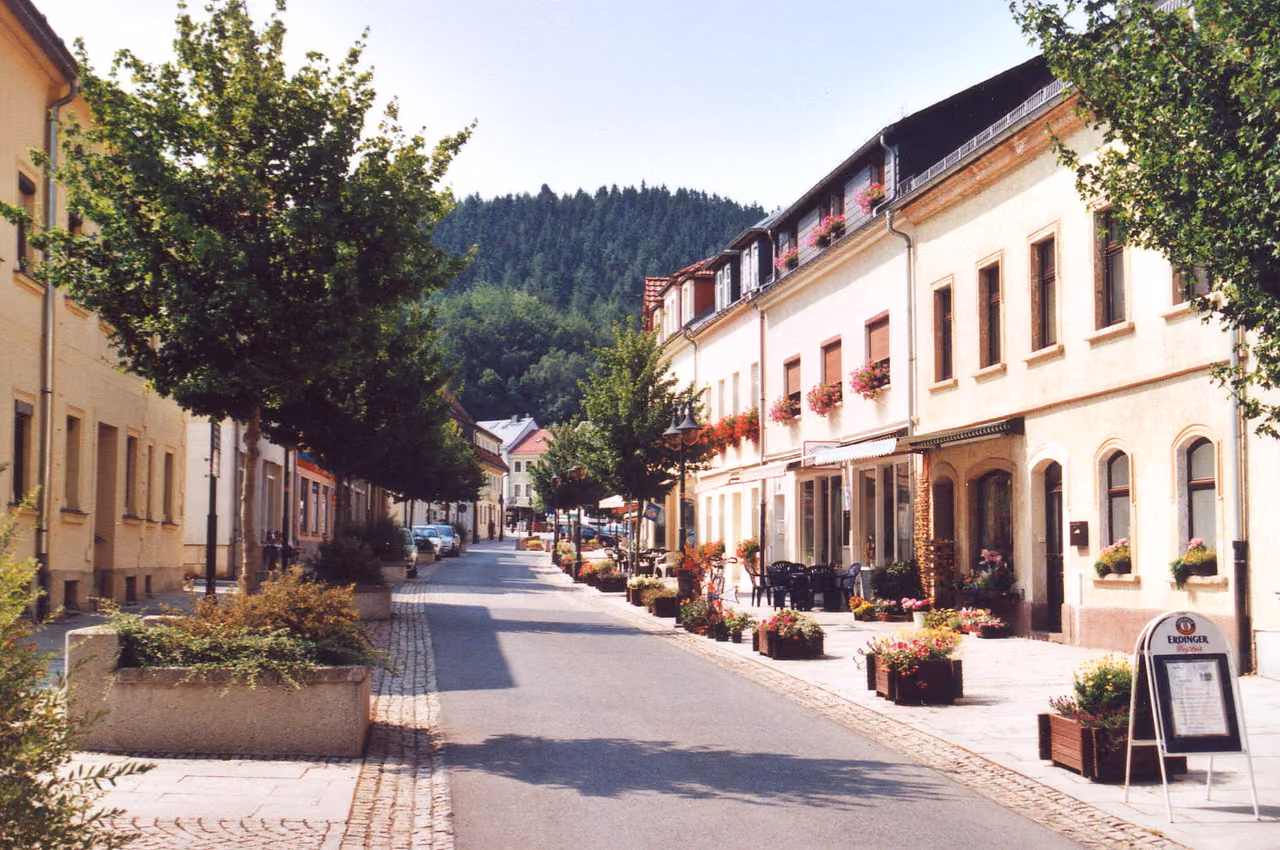 Stadtansicht von Bad Gottleuba-Berggießhübel