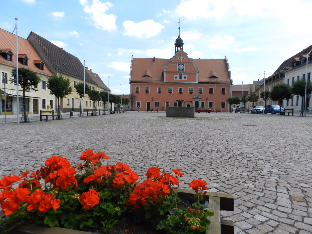 Stadtansicht von Belgern-Schildau