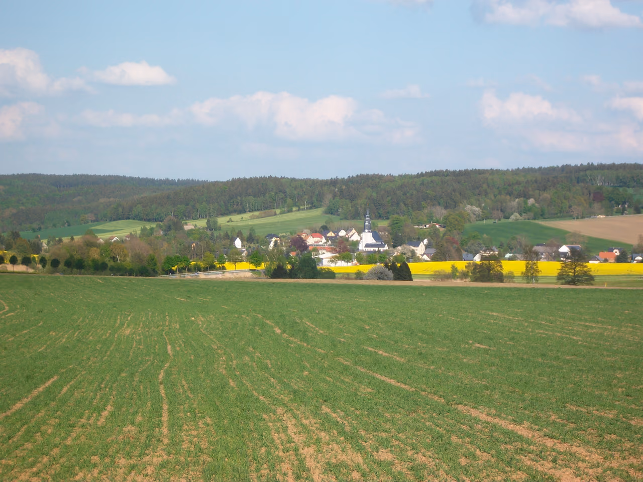 Stadtansicht von Crinitzberg
