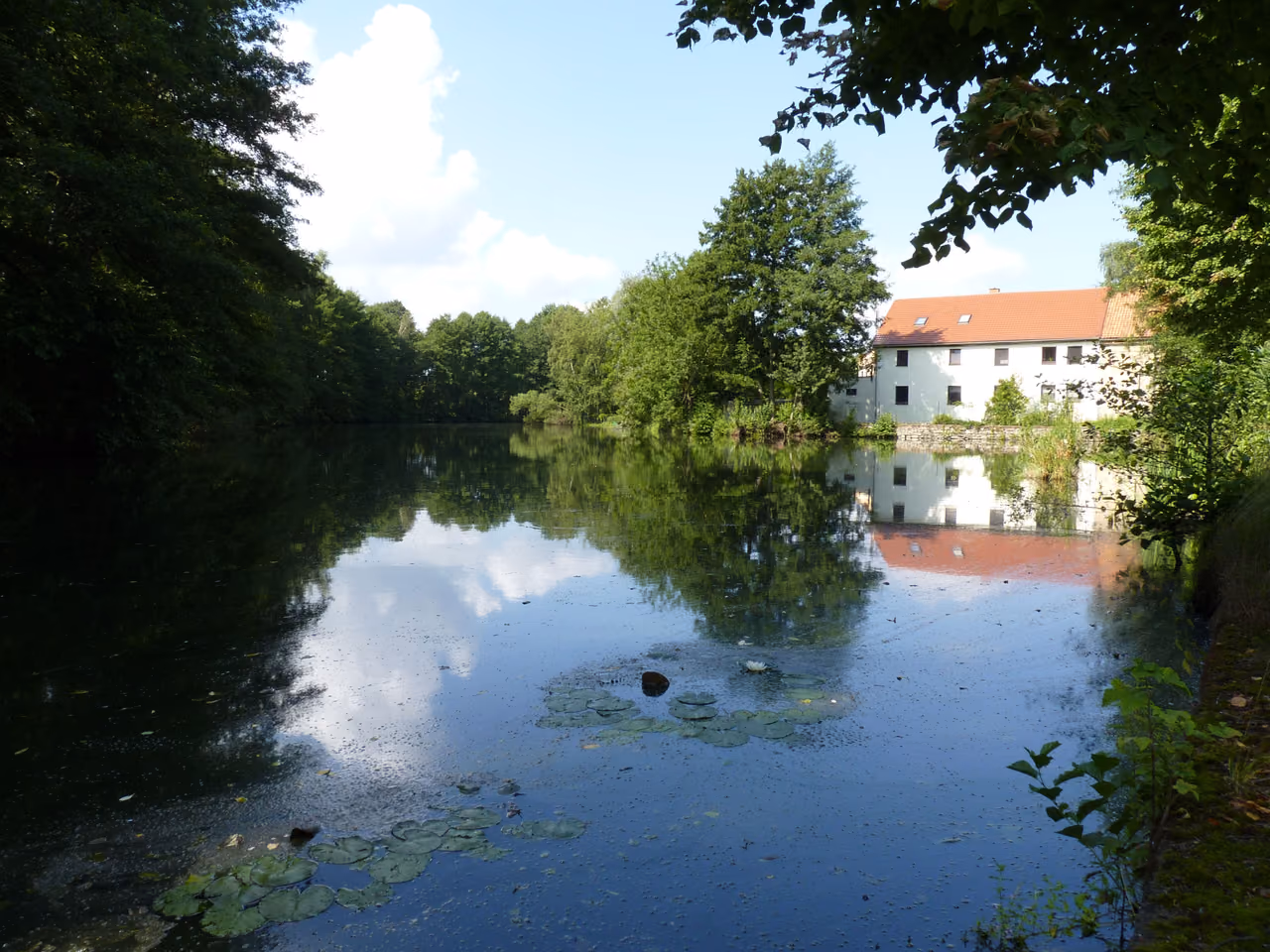 Stadtansicht von Oderwitz