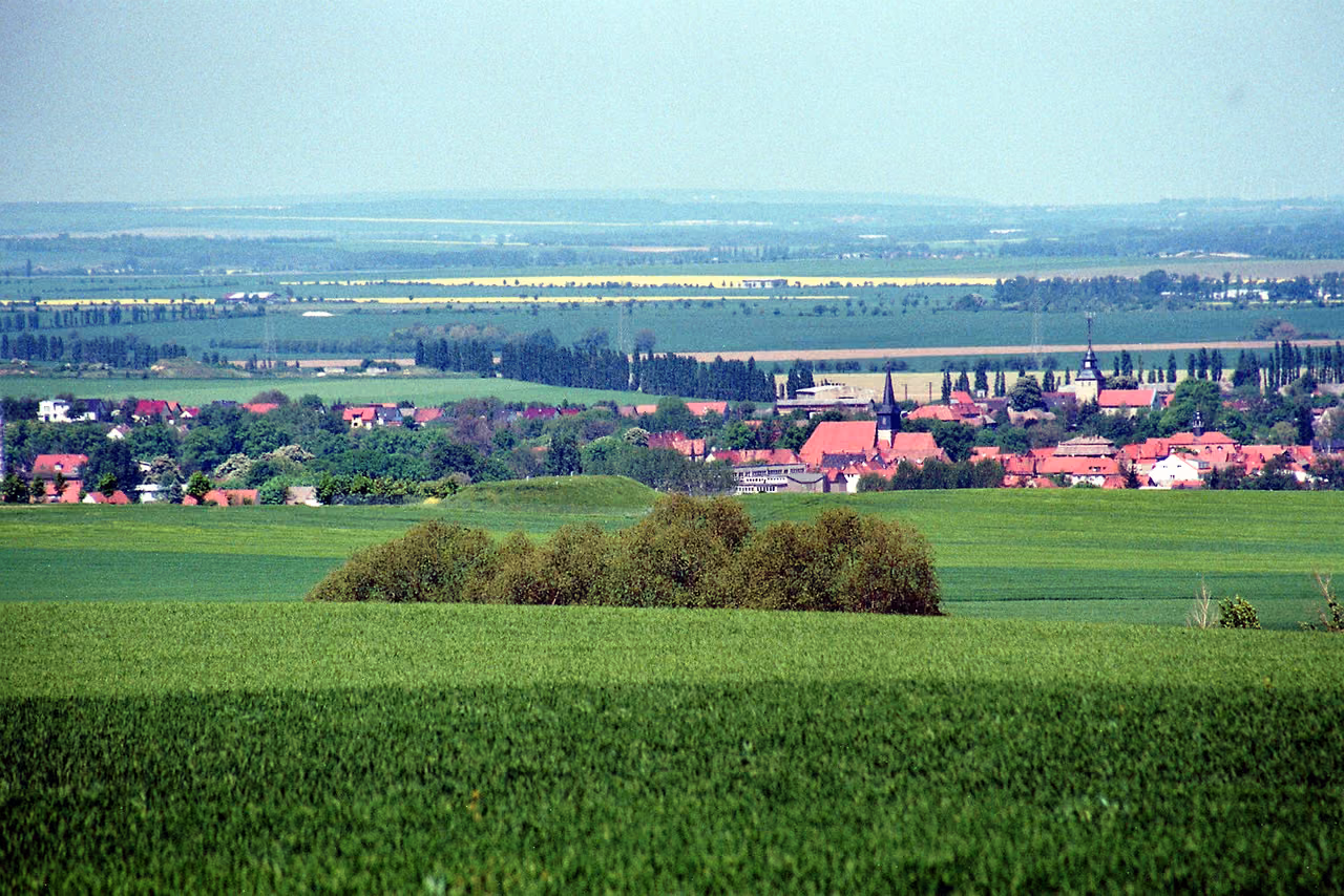 Stadtansicht von Falkenstein/Harz