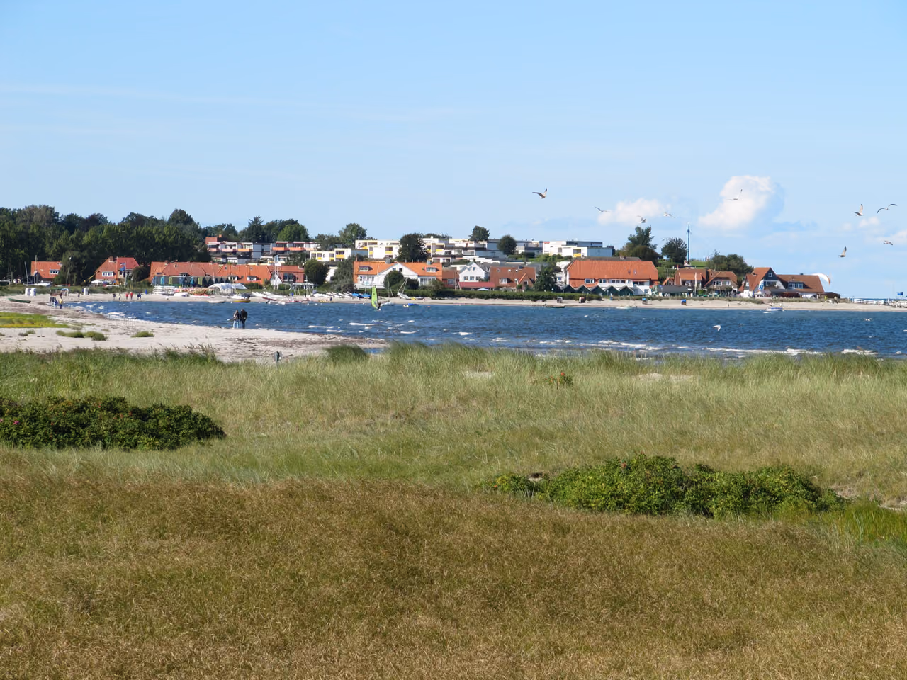 Stadtansicht von Hohwacht (Ostsee)