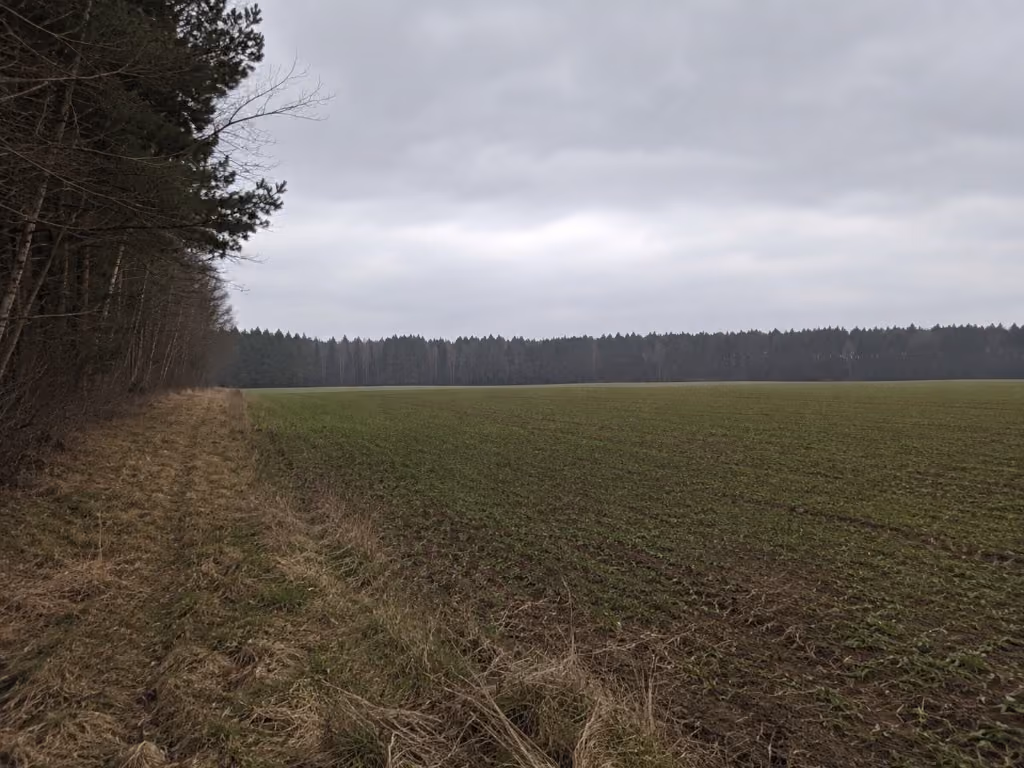 Kramerhof · Groß Kedingshagen